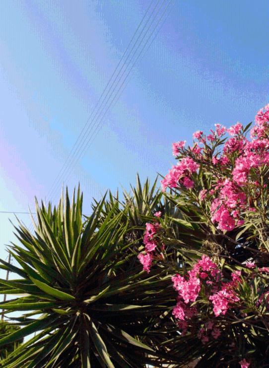 Blue Sky Apartamento Chora  Exterior foto